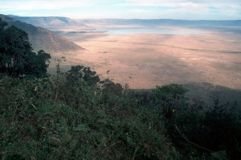 TANSANIA , Schutzgebiet Ngorongoro Krater, Weltnaturerbe der UNESCO
